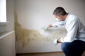 Best Industrial Mold Remediation  in Granite Bay, CA